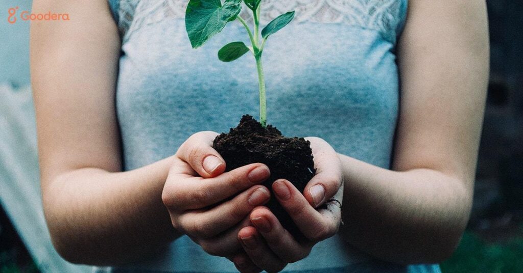 Día de la Tierra: las 20 mejores organizaciones sin fines de lucro que trabajan para proteger el medio ambiente en 2022 y más allá