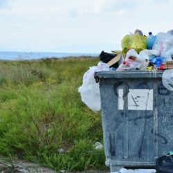 Residuos plásticos: el impacto de la contaminación plástica en el medio ambiente